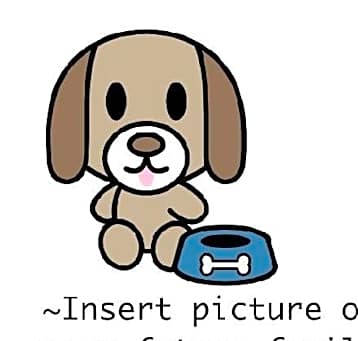 Photo of Wishlist - Dog