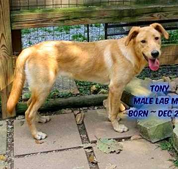 Photo of Tony