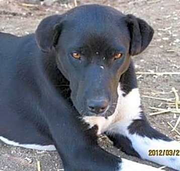 Photo of Shinia