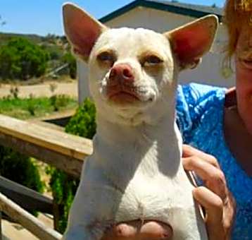 Photo of Casper