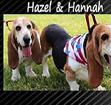 Photo of Hazel and Hannah