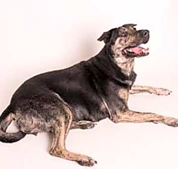 Photo of Tess