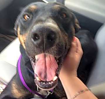 Photo of ATLAS