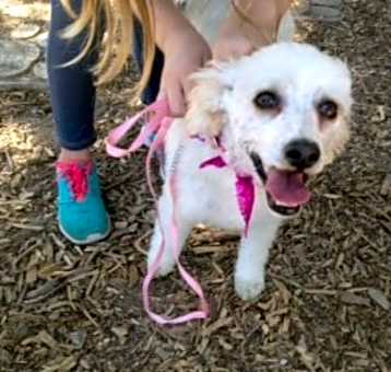 Photo of Lola