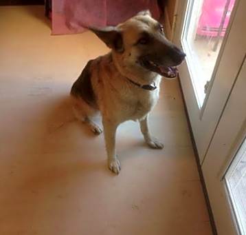 Photo of Nevaeh