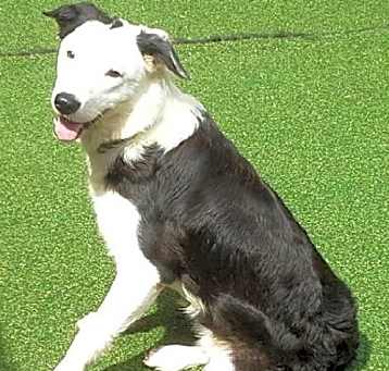 Photo of Gus