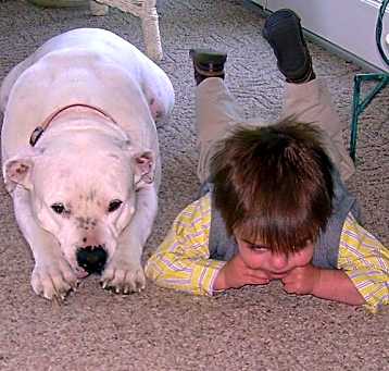 Photo of Zeus A Friend For Life