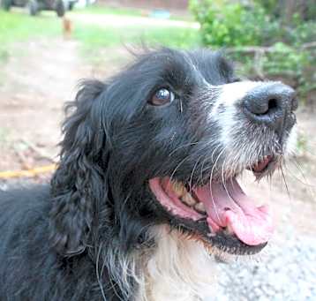 Photo of Gabriel