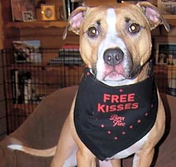 Photo of Chyna