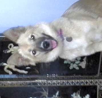 Photo of Emi
