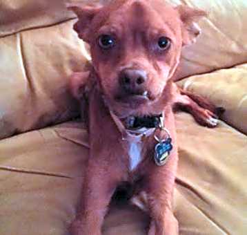 Photo of Uno