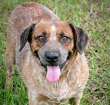 Photo of Annie