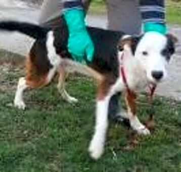 Photo of hankie