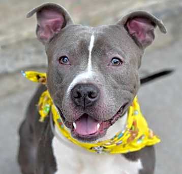 Photo of Tank