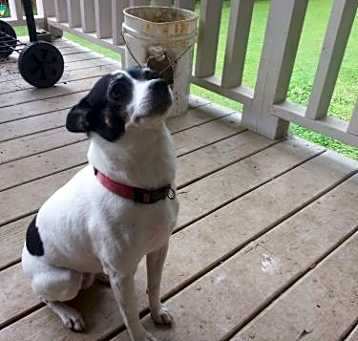 Photo of Luna