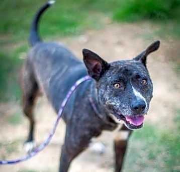 Photo of Snookie