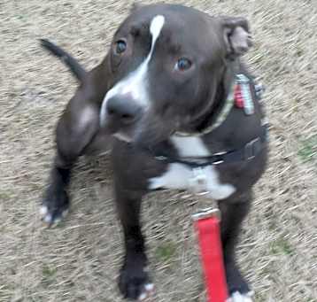 Photo of NOVA
