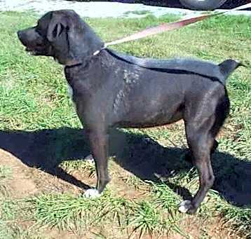 Photo of Bobbie