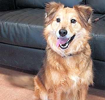 Photo of Otto