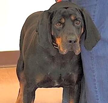 Photo of Jasper