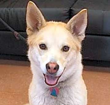 Photo of Arloe