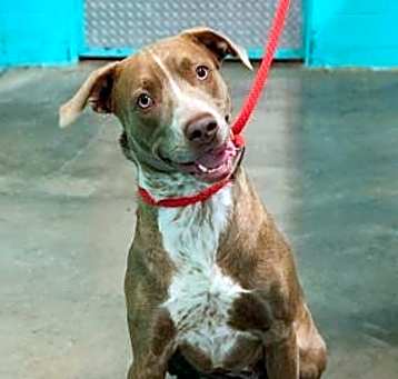 Photo of Coco