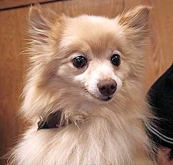 Photo of Gladys