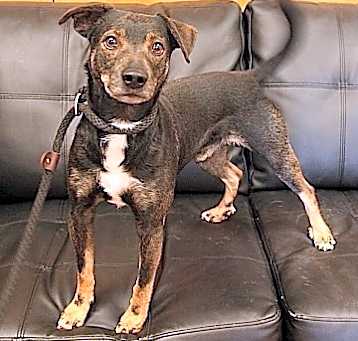 Photo of Billup