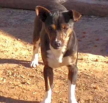 Photo of Cece