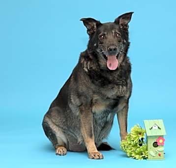 Photo of Jazz