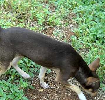 Photo of Isabella