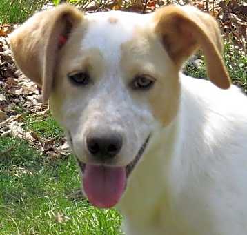 Photo of Rex