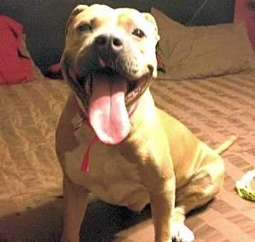 Photo of Star