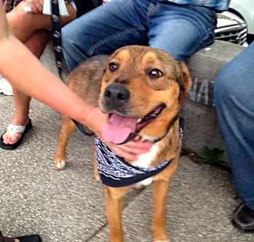 Photo of Chevy