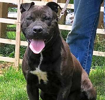 Photo of ONYX