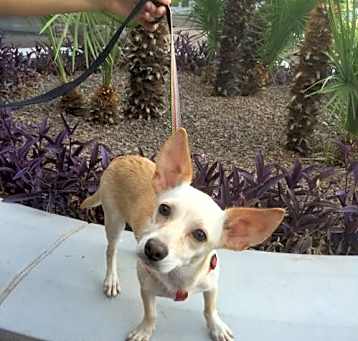 Photo of Josephine