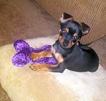 Photo of Sasha