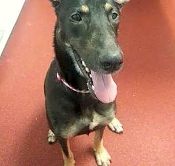 Photo of Athena