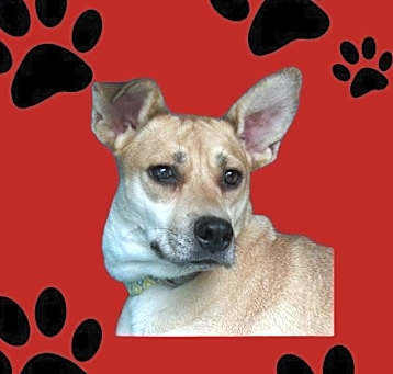 Photo of Tabitha Max