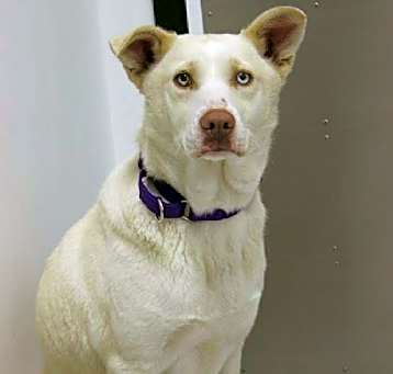 Photo of Nakita