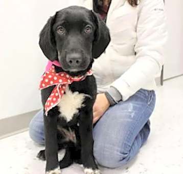 Photo of Minnie