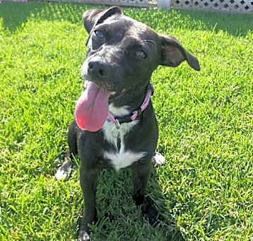Photo of NORMA JEAN