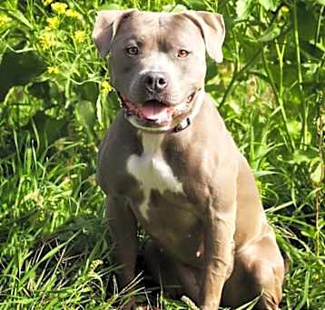 Photo of Jasmine