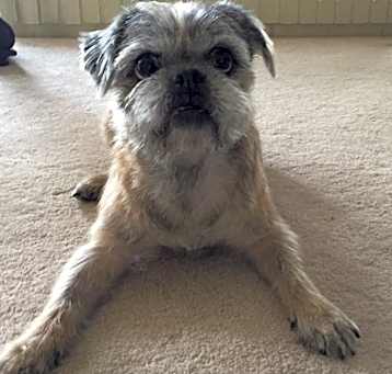 Photo of Vince (Vinny)