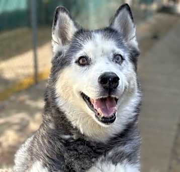 Photo of Azul