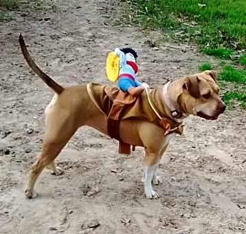 Photo of Abbra