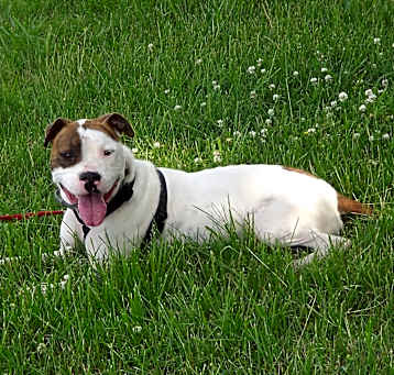 Photo of Hugo