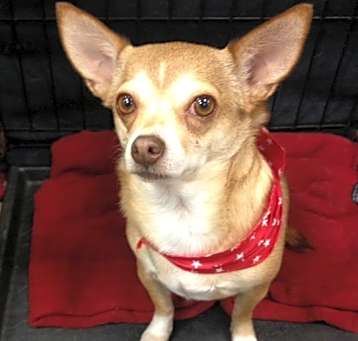 Photo of Daisy Mae