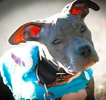 Photo of Tevin