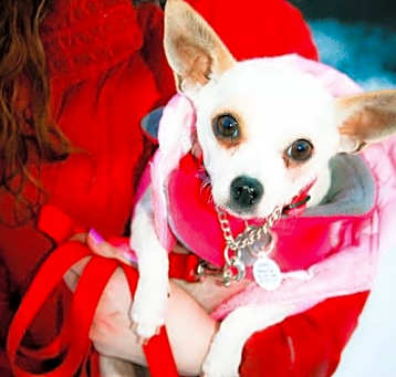 Photo of Lexie